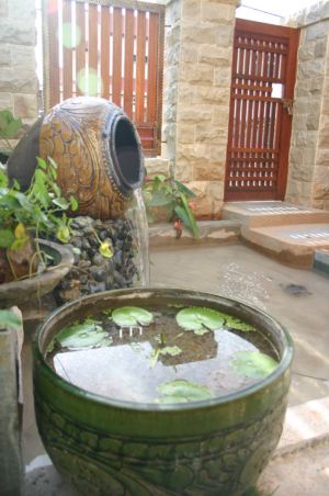 water-pond_tom-300