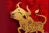 Cover Story: Year of the ox: recovery, volatility and hope