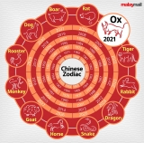 What&rsquo;s your sign? Monkey, Rooster, Dog and Dragon zodiac signs the luckiest this year
