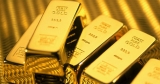 2020 金鼠年运势 ( 2020 Year of Golden RAT Annual Fortune )